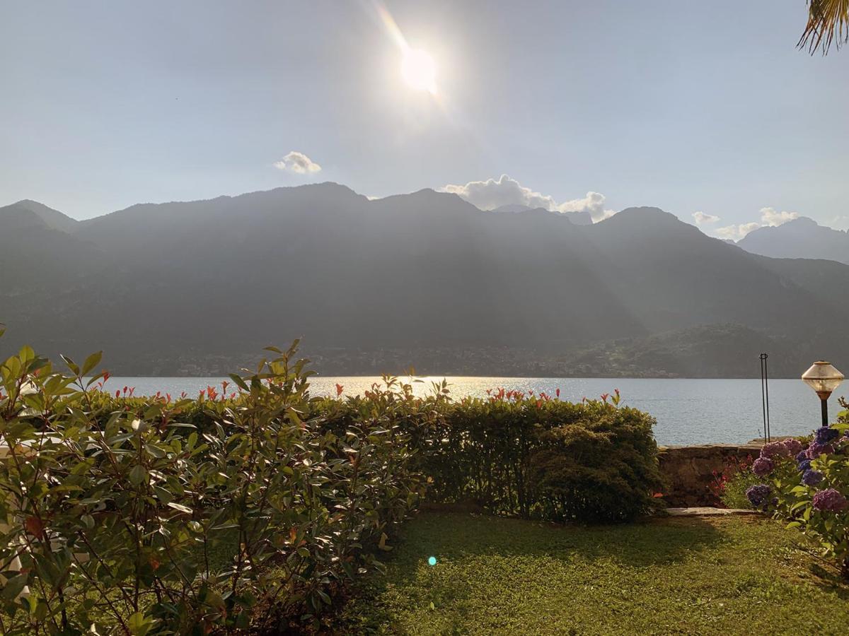 דירות Oliveto Lario Terrace On The Lake מראה חיצוני תמונה